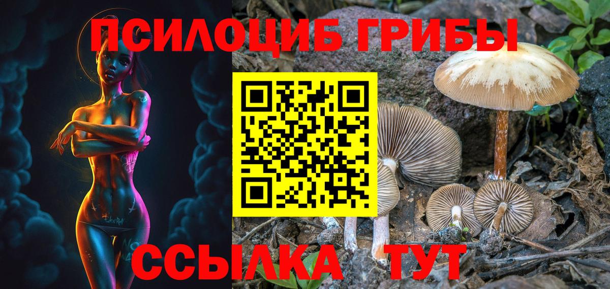 Псилоцибиновые грибы ЛСД Лыткарино