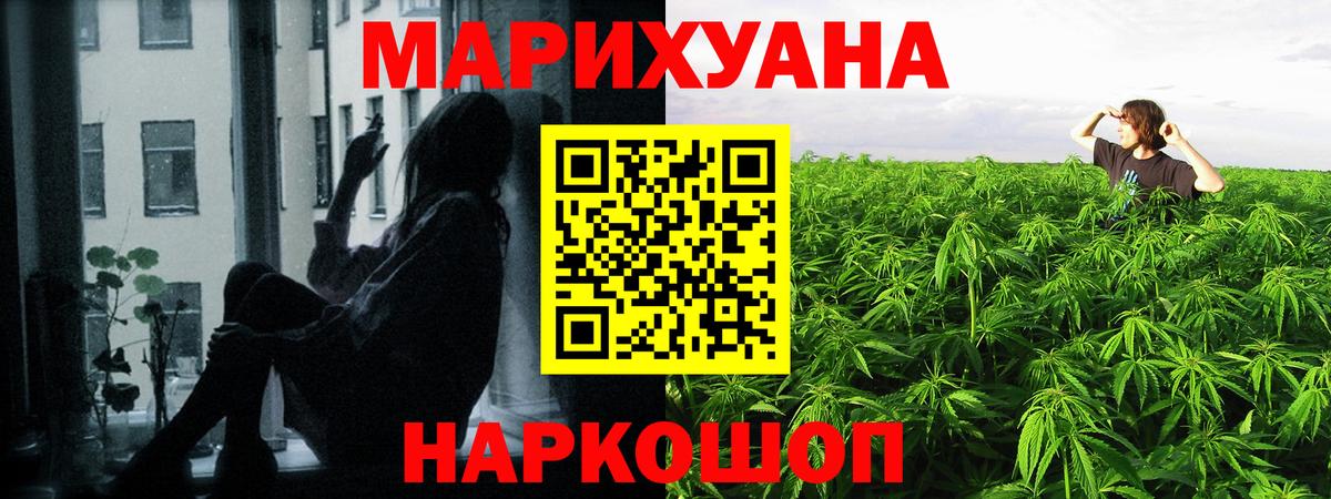 Бошки марихуана марихуана  Марихуана Bruce Banner  Бошки Шишки индика  Лыткарино  Вход с VPN  Каннабис сатива 